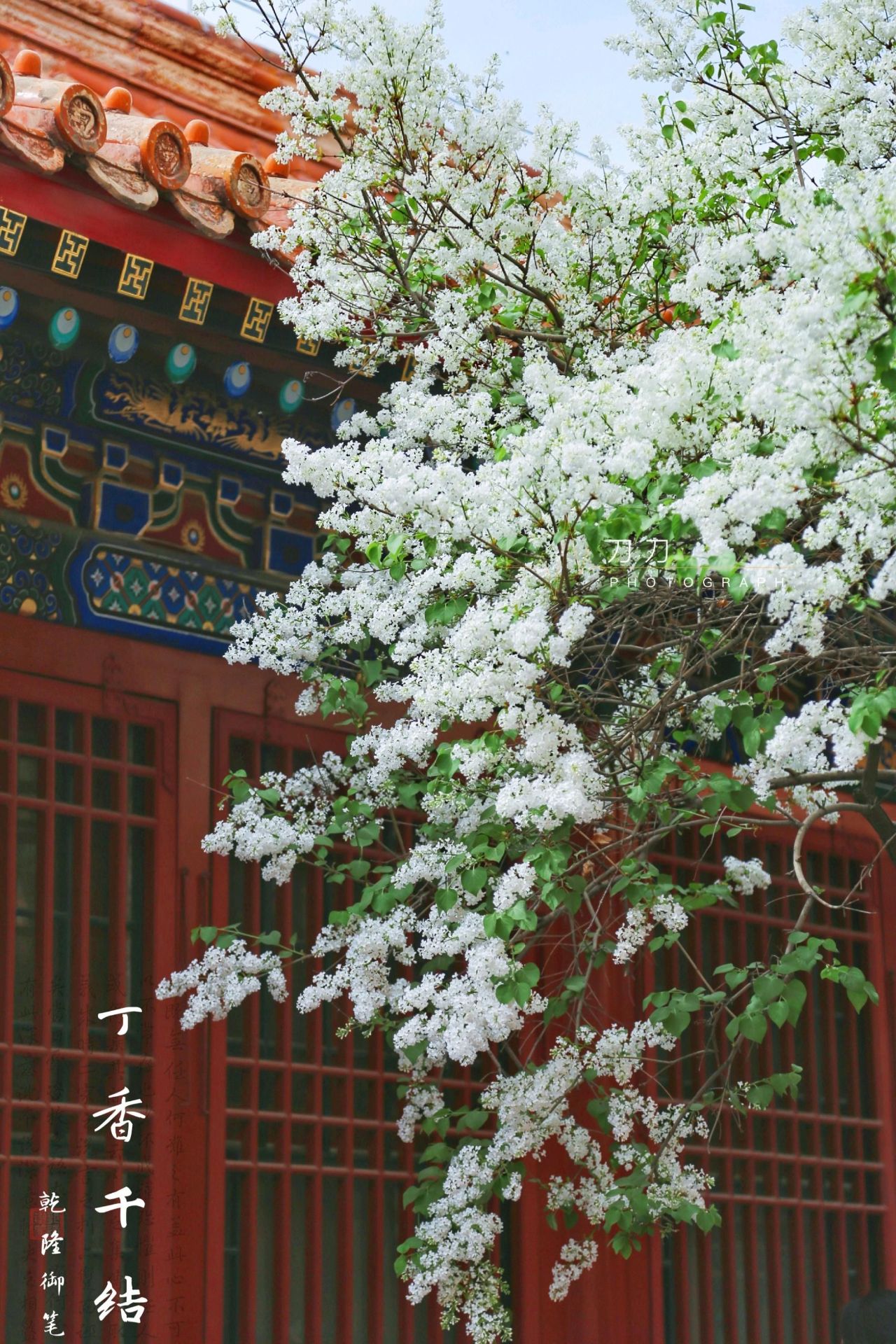 武英殿(书画馆)