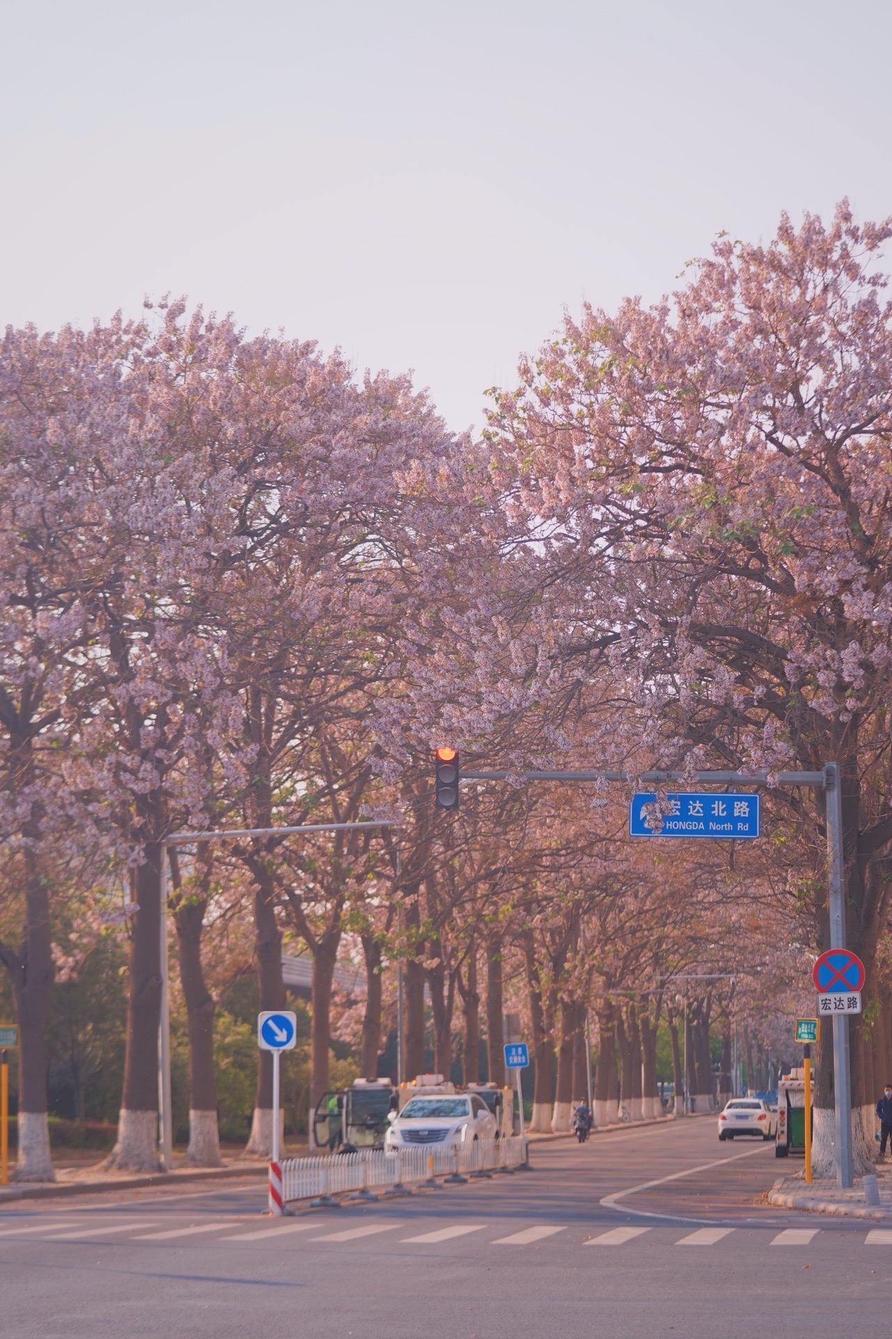 宏达北路桐花大道