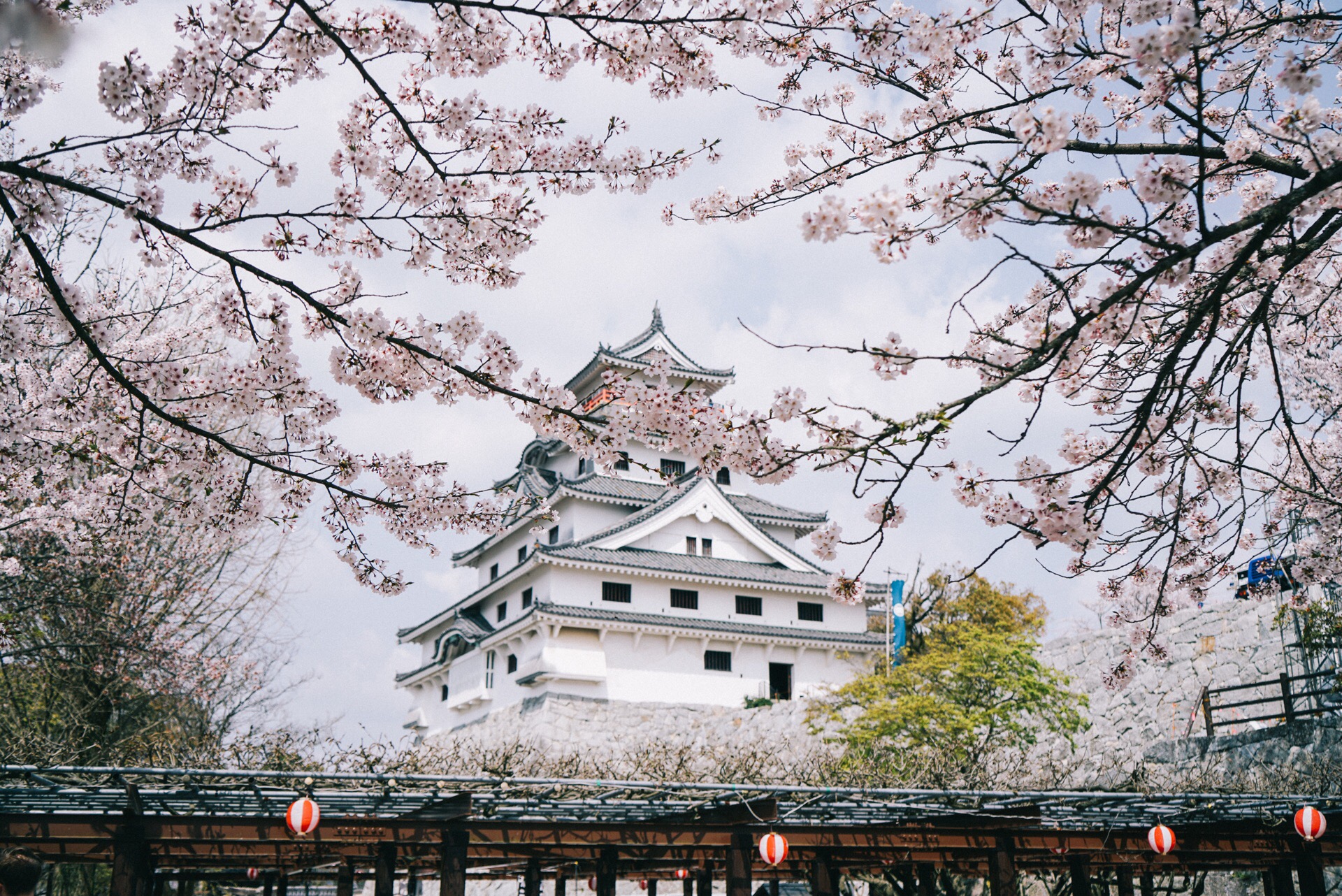 Karatsu Castle | Travel Japan - Japan National Tourism Organization (Official Site)