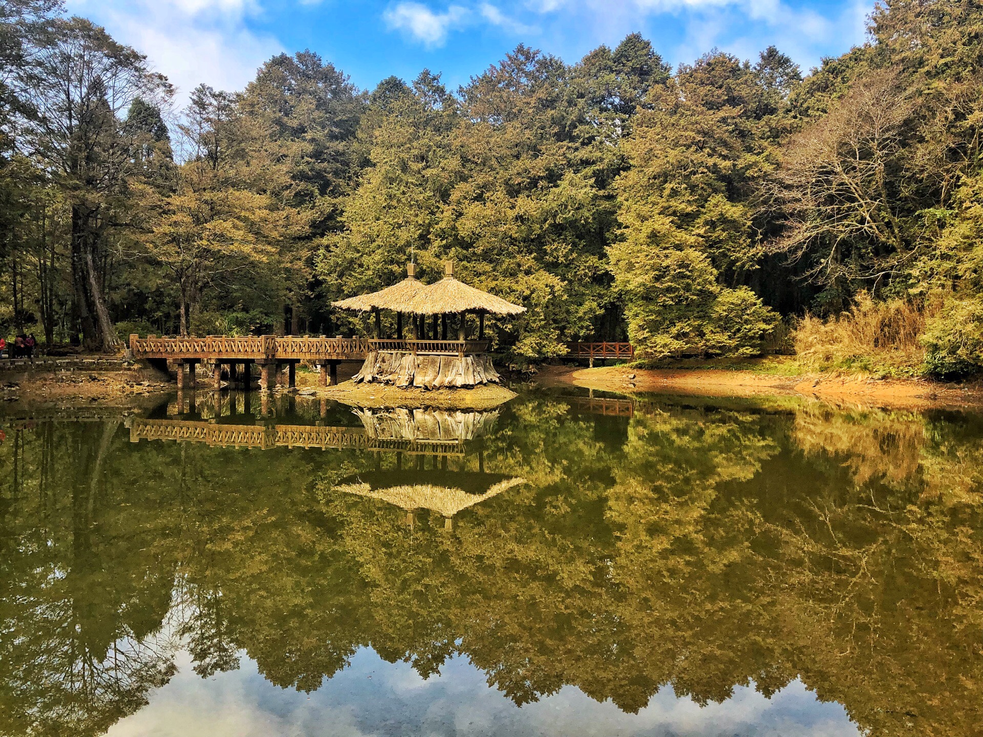 阿里山的"姐妹"美如画!