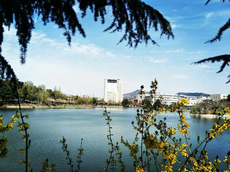 聚焦首尔璀璨的夜骆山公园