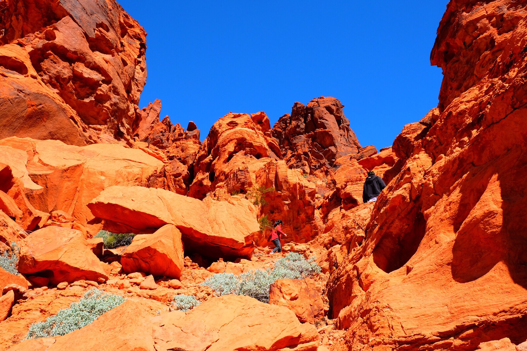 内华达州火焰谷州立公园好玩吗,内华达州火焰谷州立公园景点怎么样