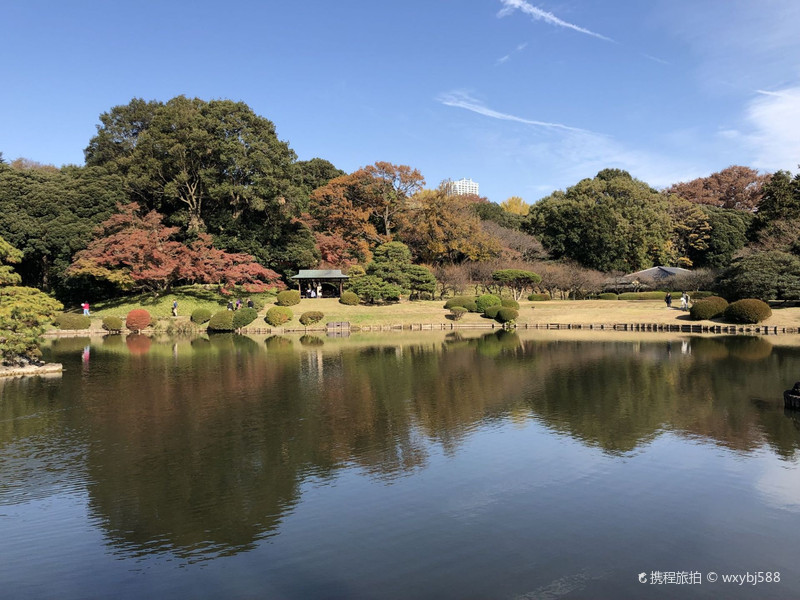 新宿御苑之行 东京之行 携程旅拍