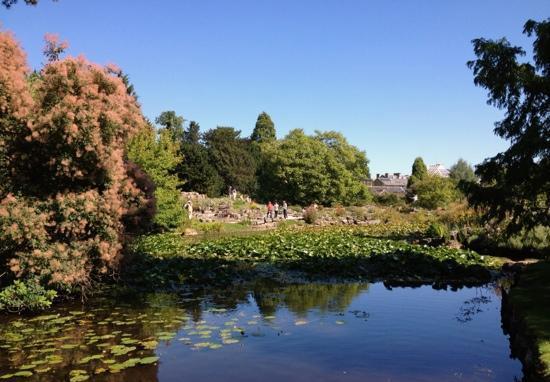 剑桥大学植物园