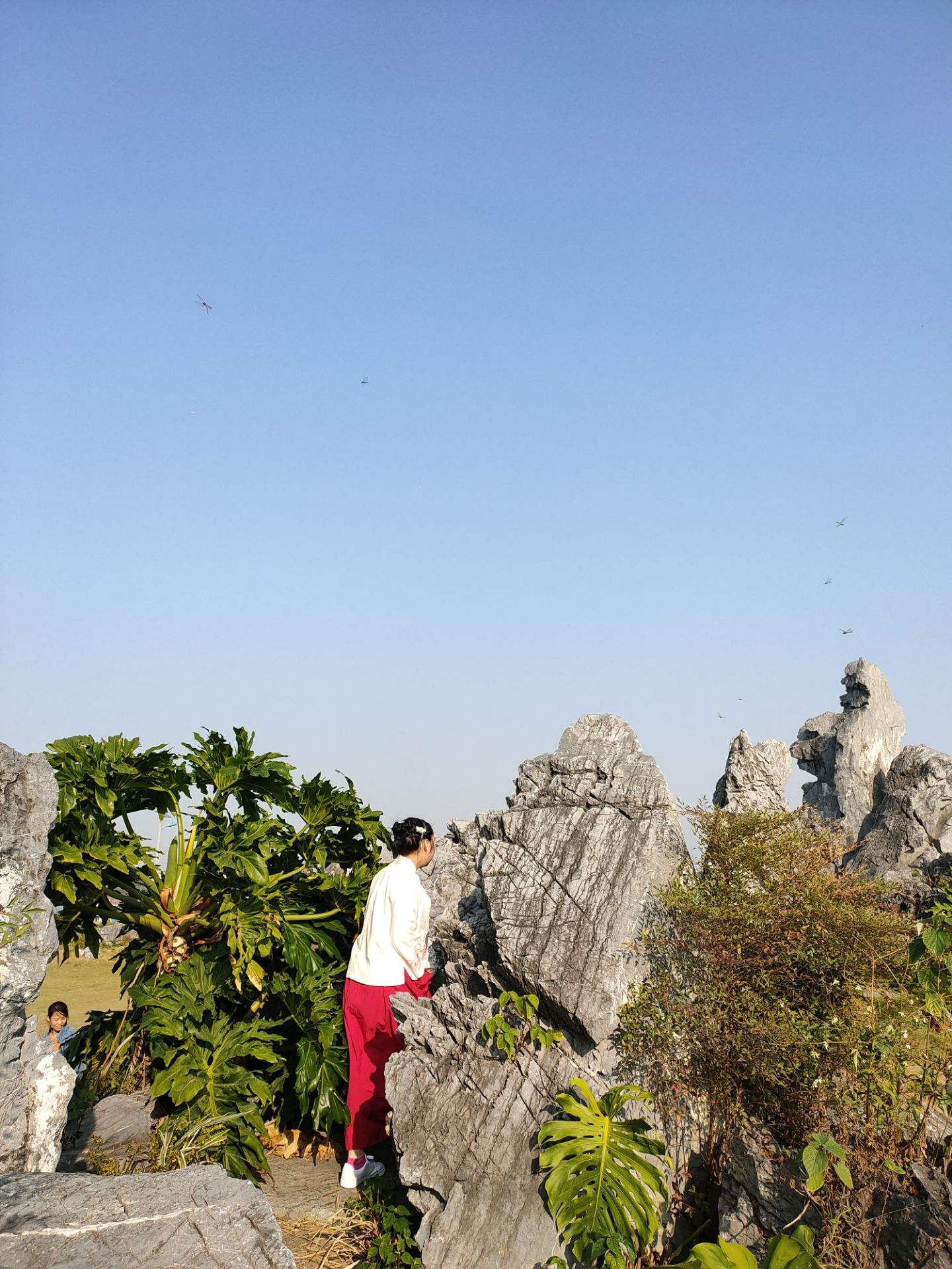 顺德均安沙滩公园图片