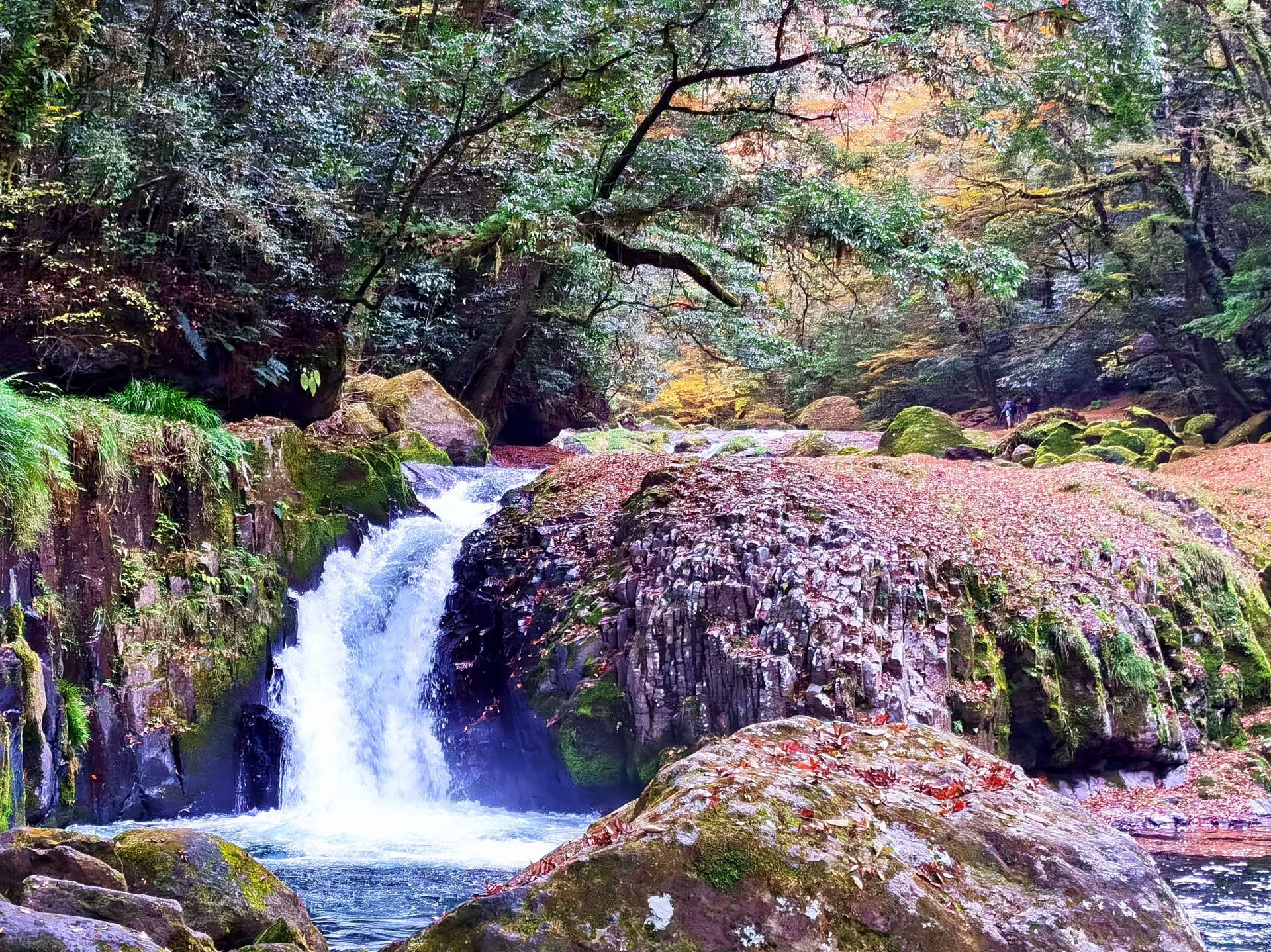 菊池市kikuchi gorge攻略,菊池市kikuchi gorge门票/游玩攻略/地址