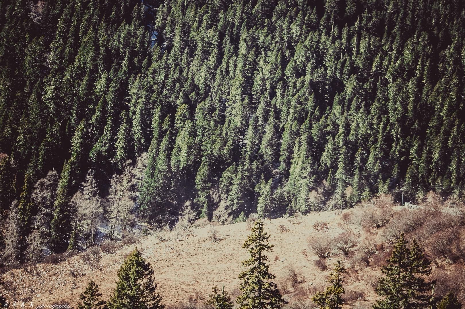 阿坝黑水雅克夏雪山:冬日晴朗天空下的静谧圣洁 小众好去处
