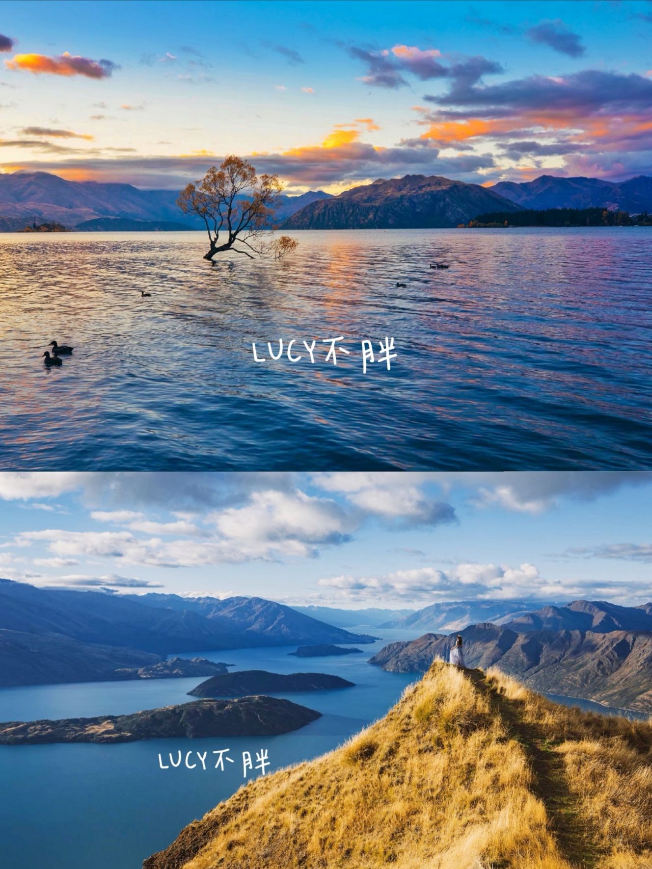 Lone Tree Of Lake Wanaka Travel Guidebook Must Visit Attractions In Wanaka Lone Tree Of Lake Wanaka Nearby Recommendation Trip Com