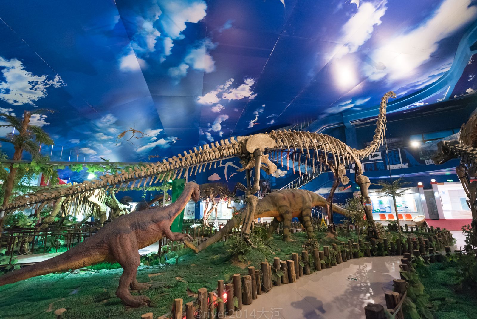 2019自贡恐龙博物馆-旅游攻略-门票-地址-问答-游记点评，自贡旅游旅游景点推荐-去哪儿攻略