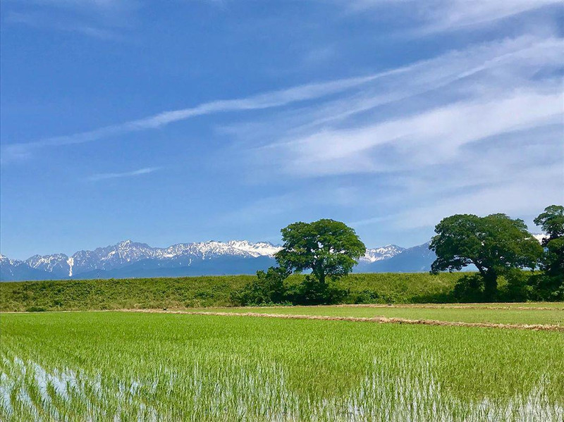 苗小苑来自大自然的美丽馈赠 富山県 富山县中央植物园自由行旅拍 旅游景点攻略 携程