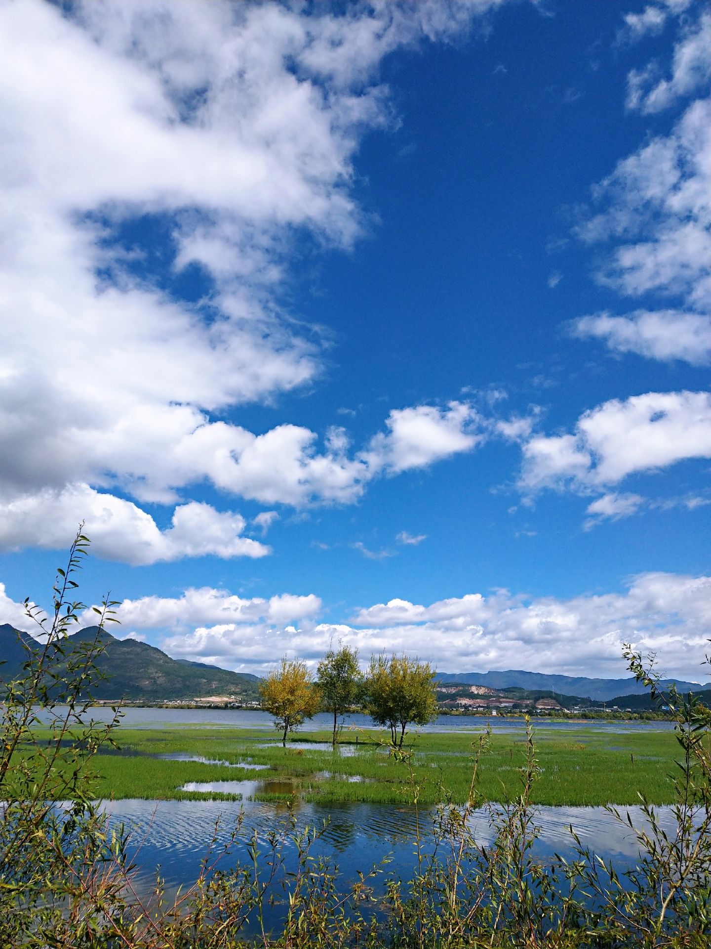 拉市海湿地公园