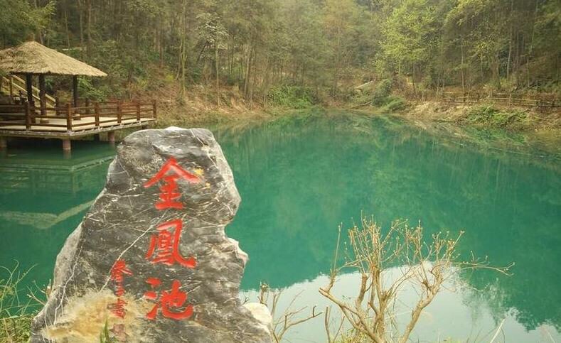 重庆九龙坡九凤山景区是迄今发现的重庆地区分布最集中,数量最多的古