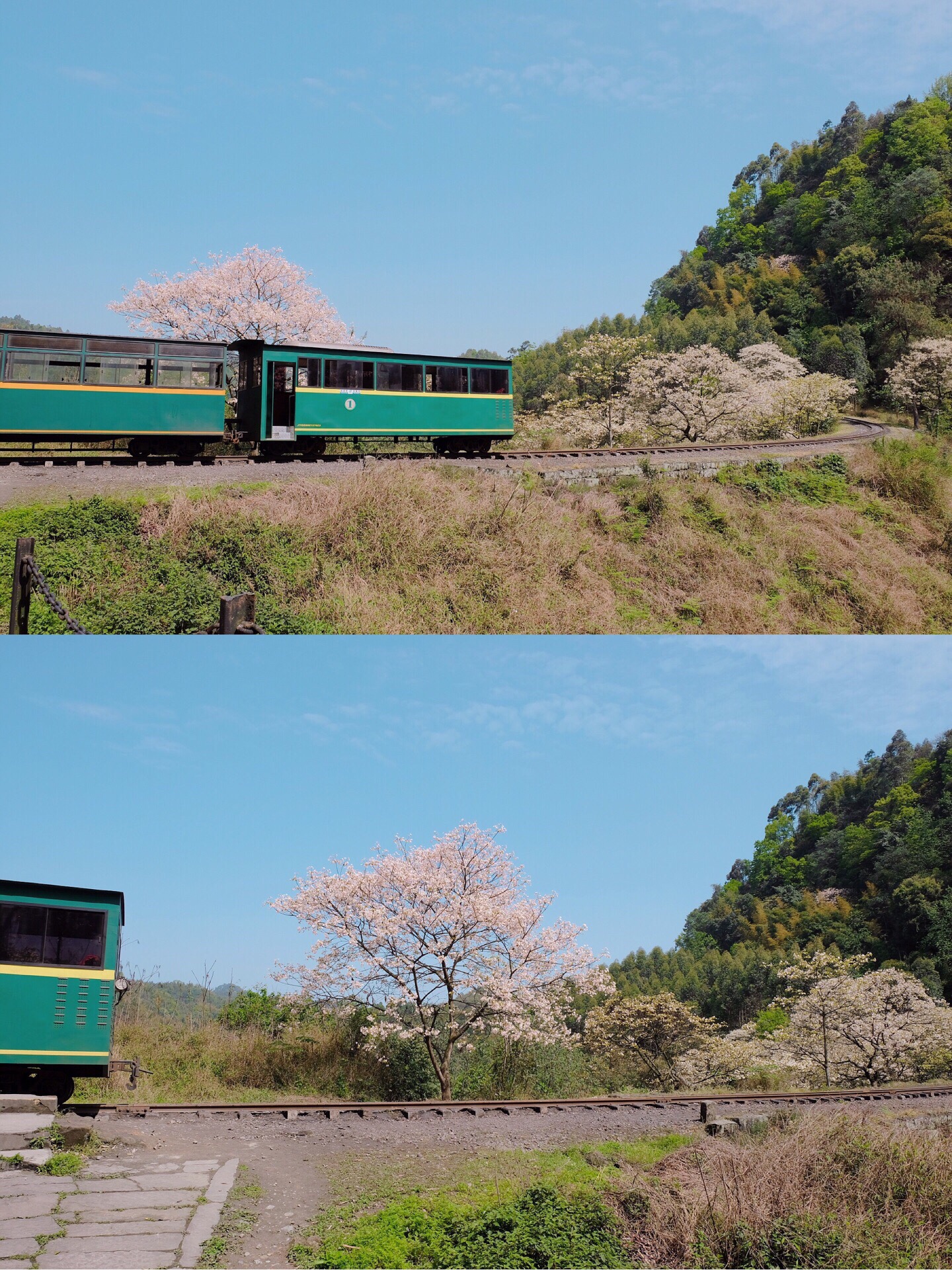 【攜程攻略】犍為嘉陽小火車景點,成都周邊一日遊賞花秘境推薦|踏青好