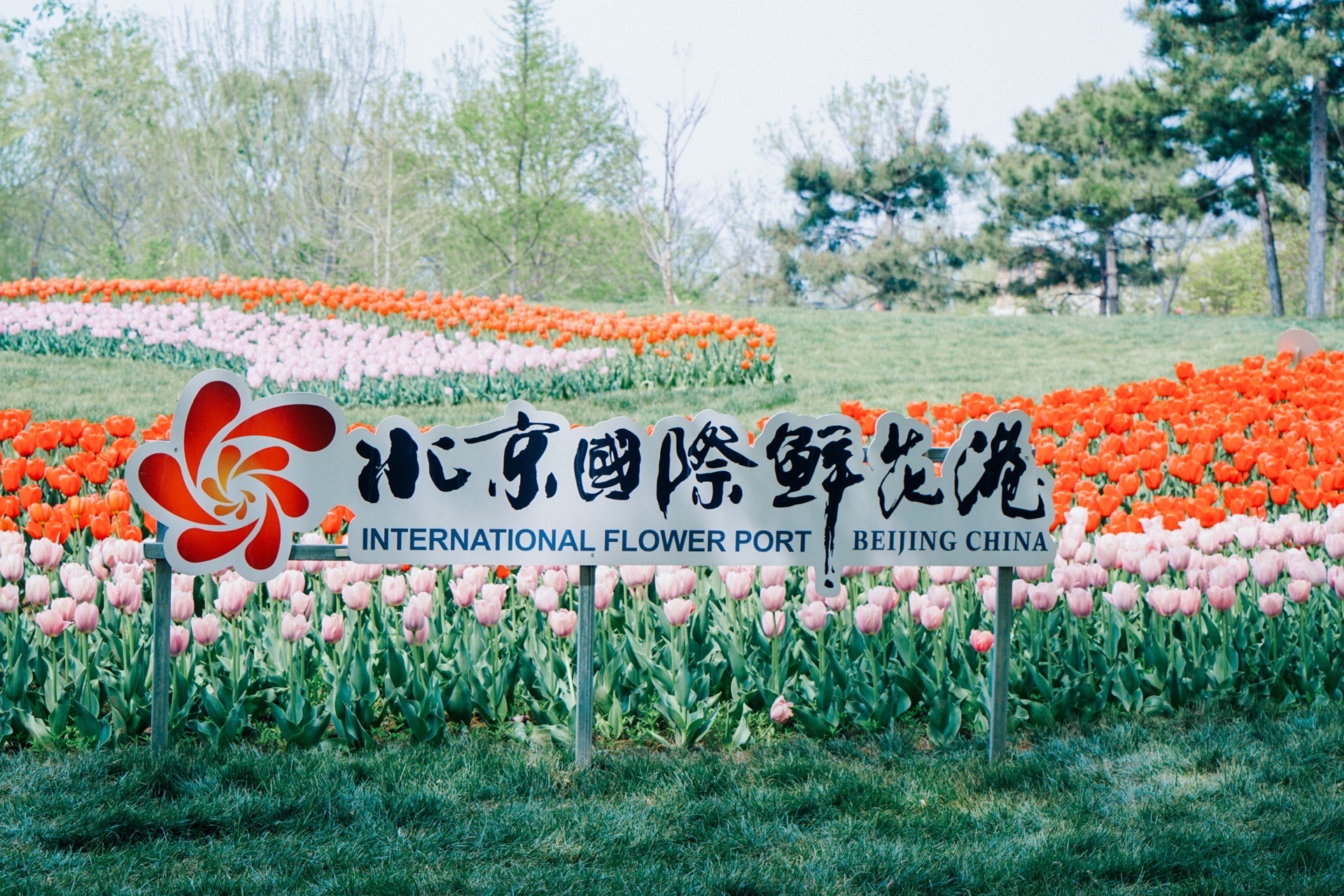 北京顺义国际鲜花港图片