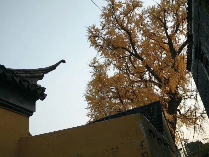 镇江万佛禅寺攻略-万佛禅寺门票价格多少钱-团购票价预定优惠-景点