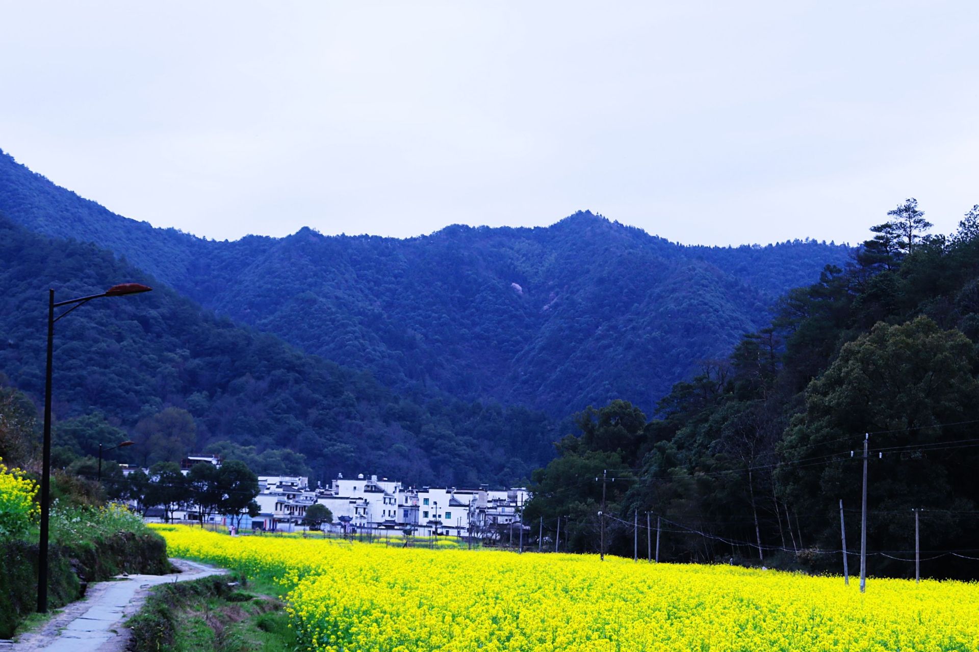景点,【一分钟秒懂"晓起"】晓起分为上下晓起,上晓起给我印象不太