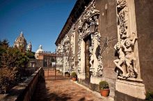 它是一座私人宫殿，由历任Biscari诸侯于十七、十八世纪兴建、扩建。部分宫殿经受住了西西里大地震，