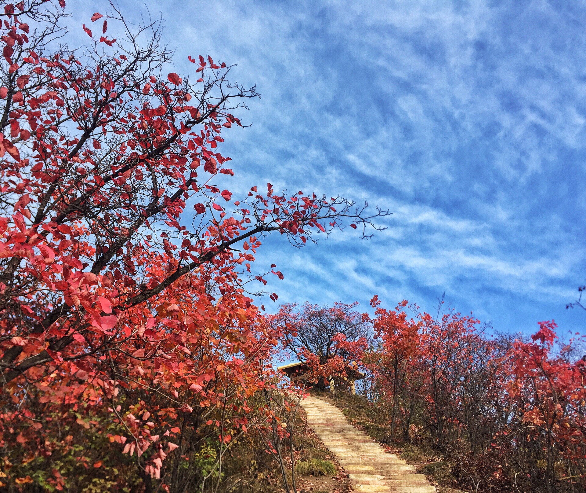 老廟山