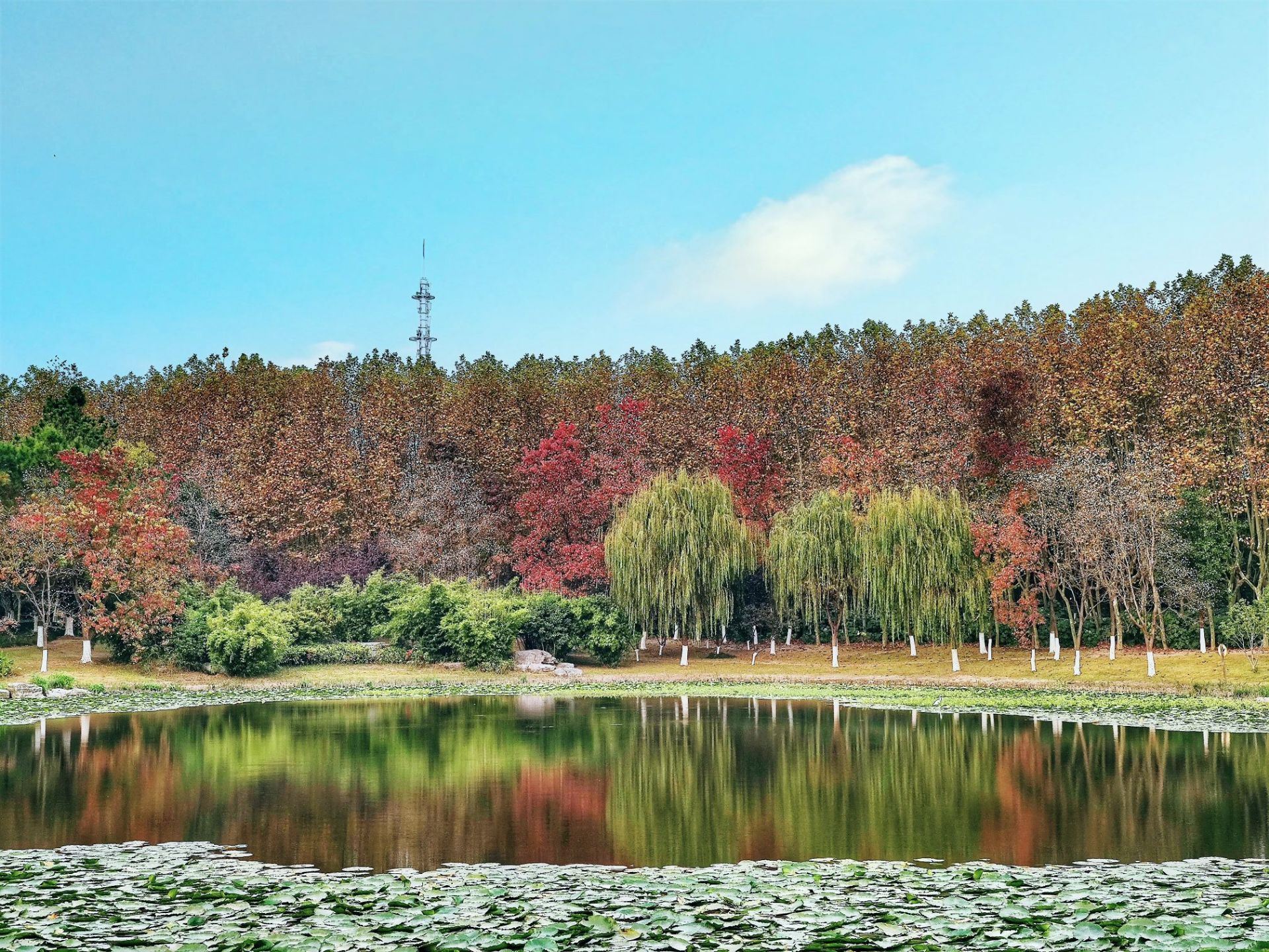【携程攻略】上海黎安公园景点, 黎安公园 黎安公园位于上海市外环线