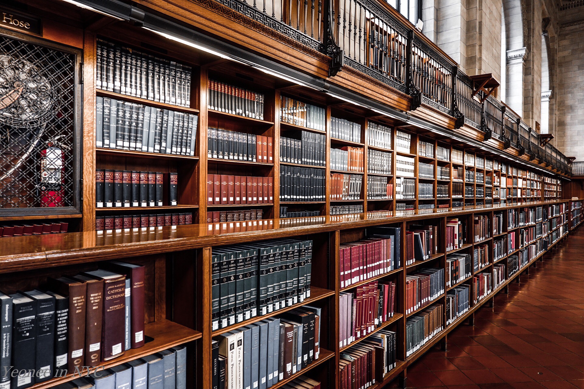 york public library

纽约公共图书馆是美国最