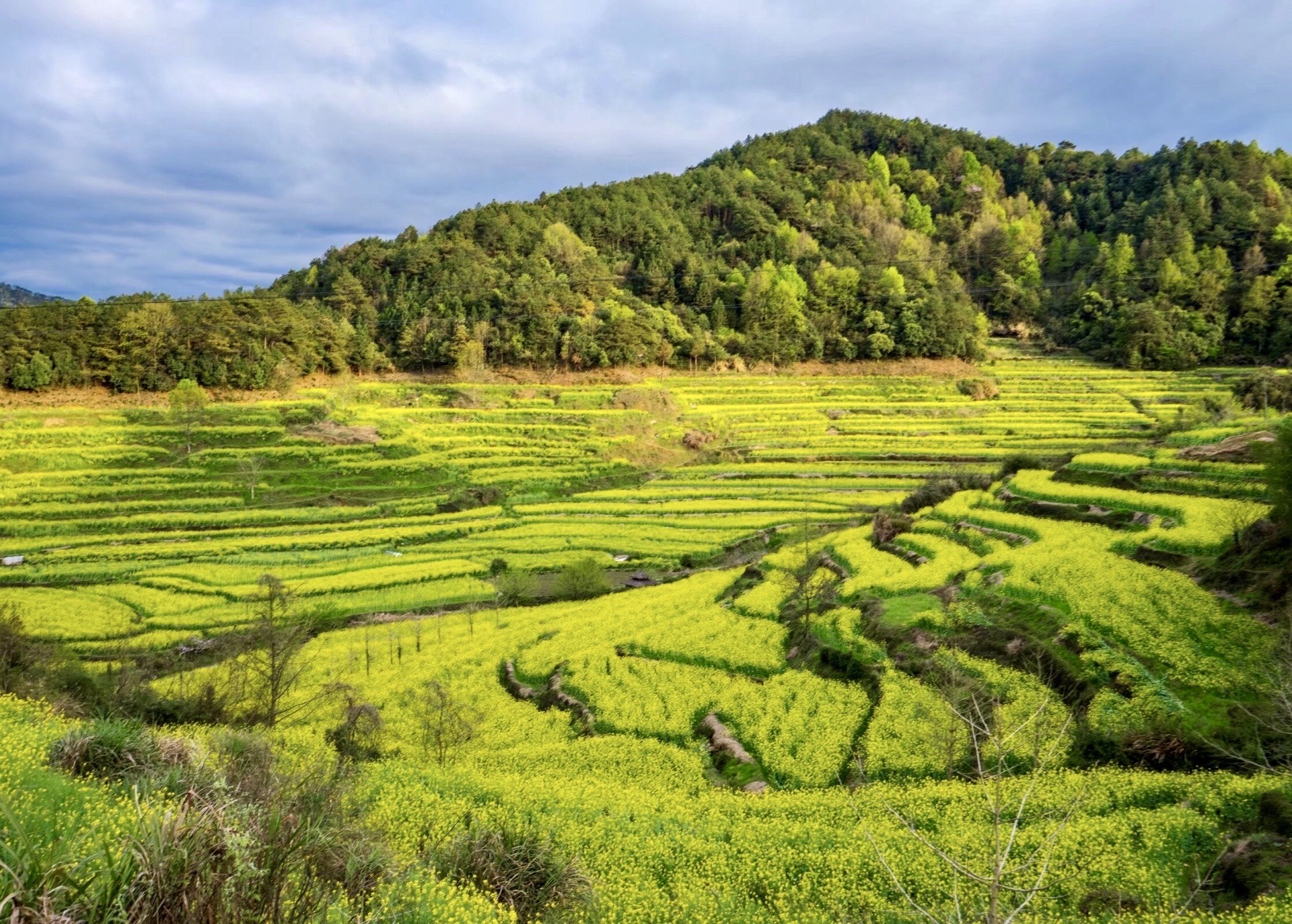 【携程攻略】黄山蜀源村景点,去灵山村的路上被蜀源村的几座牌坊吸引
