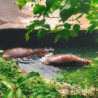 重庆涪陵万达广场兽太萌屋顶动物园 动物园 公园乐园 距景点3.5km