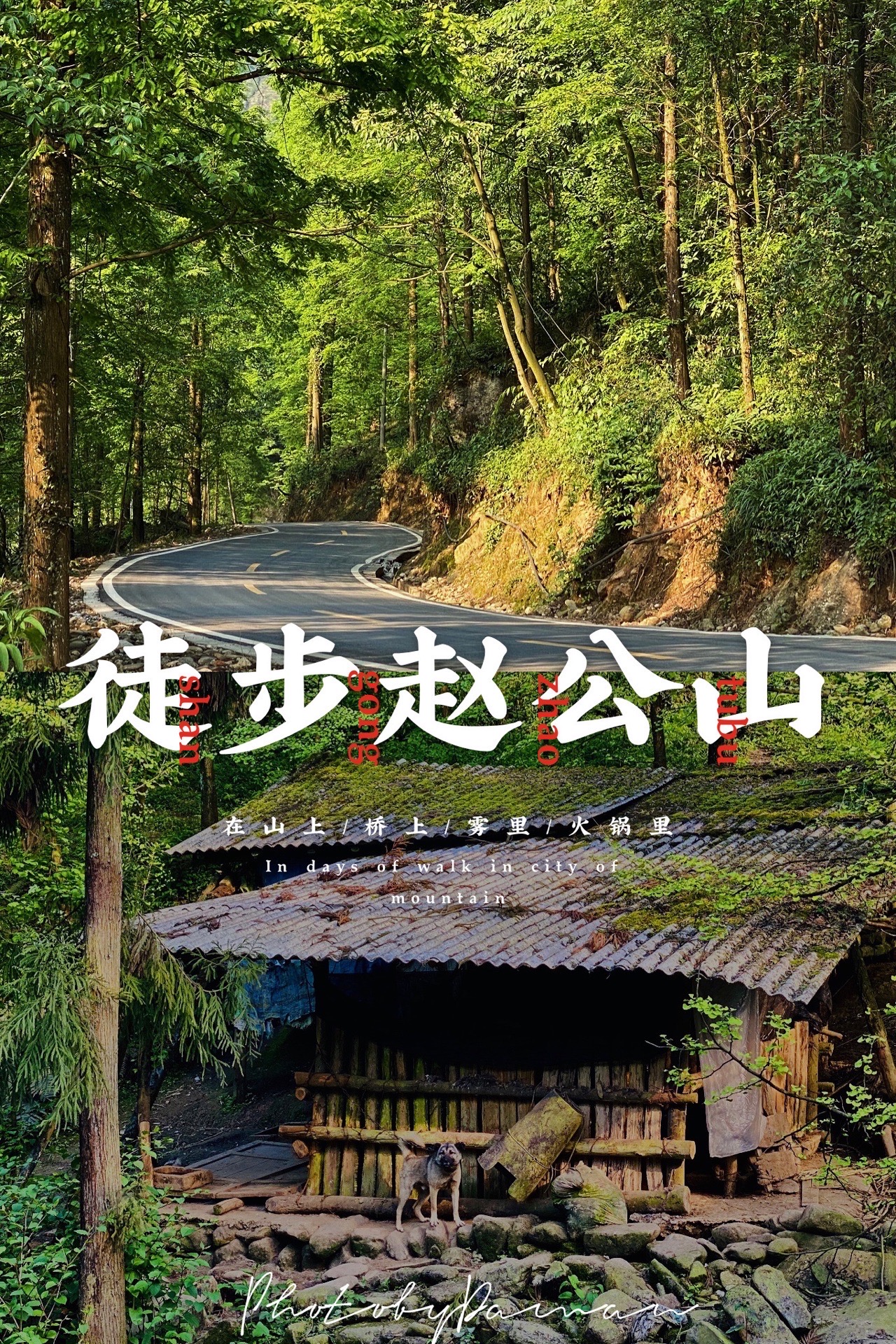 【携程攻略】都江堰赵公山景点,赵公山是青城山的主峰,位于都江堰的