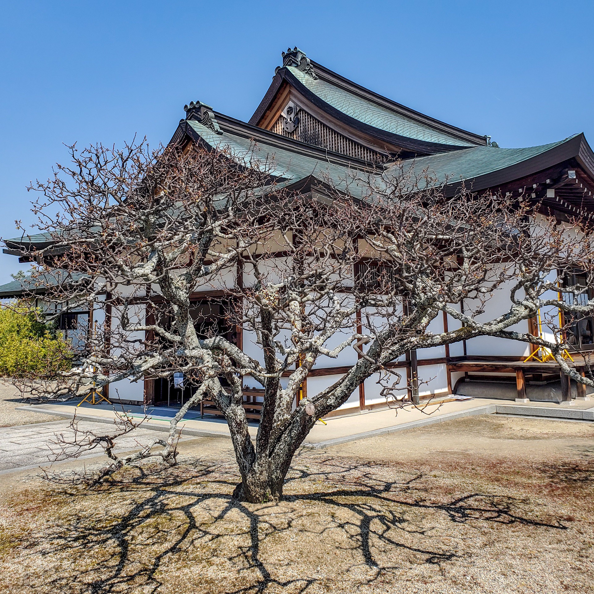 【携程攻略】奈良药师寺景点,药师寺是一座位在日本奈良县奈良市西之