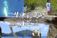 虽然去过这么多海岛，但是日本的小笠原一直都是我最喜欢的一个，优点太多了，这里只列举5点：  1️⃣ 