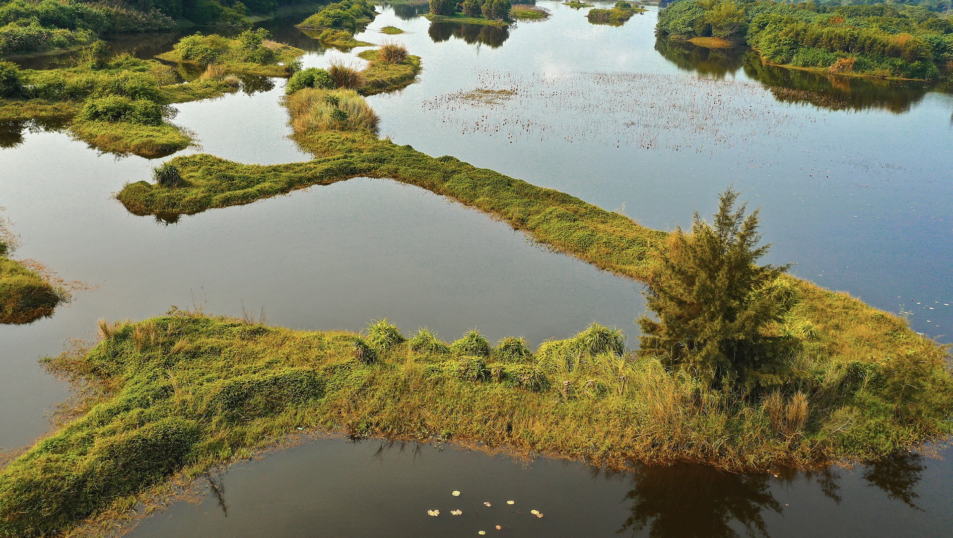 3-Day Changjiang Tour: Pristine Scenery of Bawangling, Nature of Haiwei Wetland
