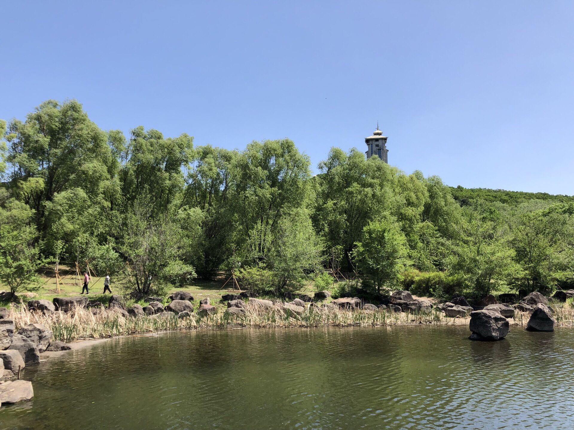 净月潭湿地公园