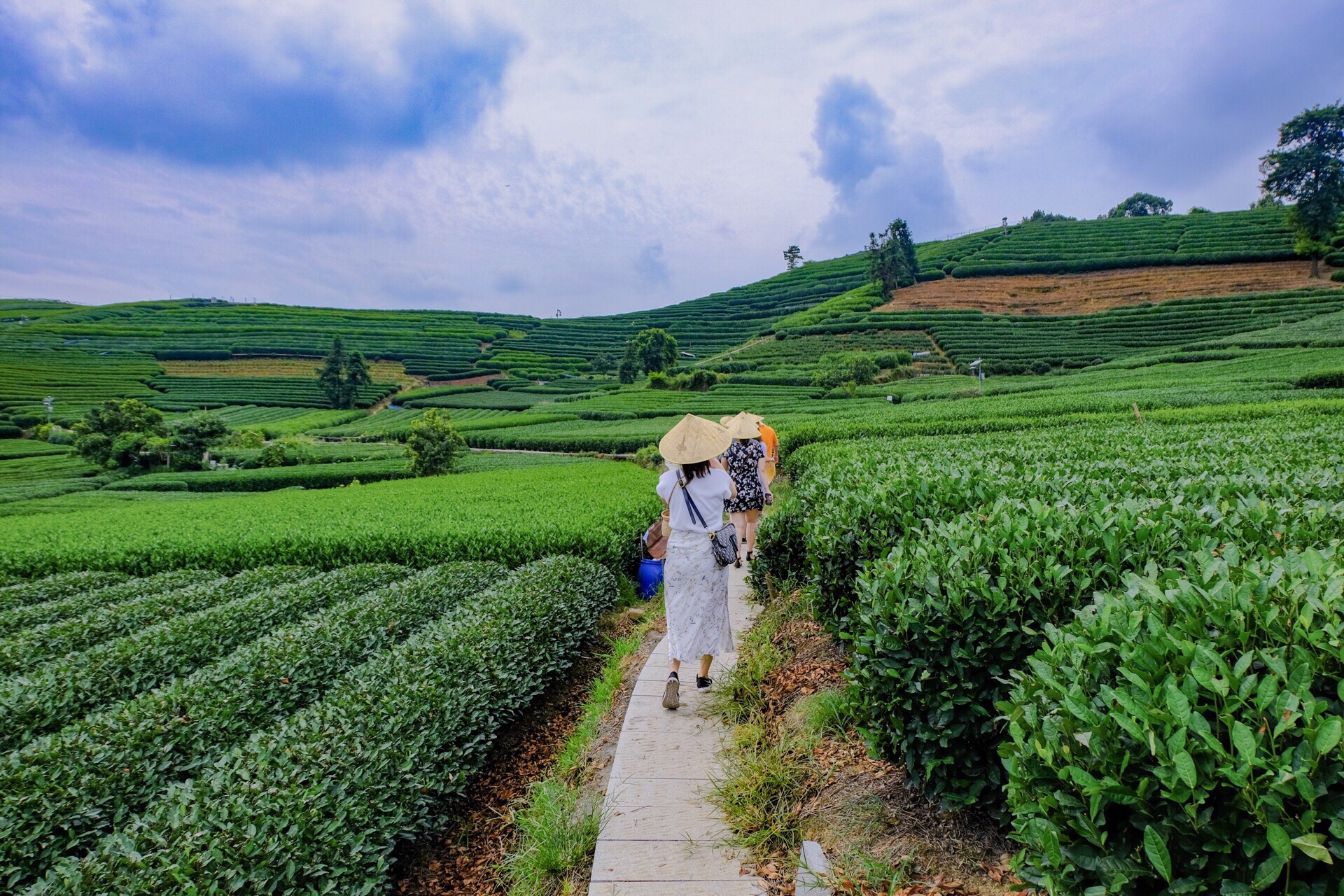 【携程攻略】杭州杭州龙坞茶村景点,这个小众秘境里，茶园茶山连绵起伏，是西湖龙井最大产区，素有“万担…