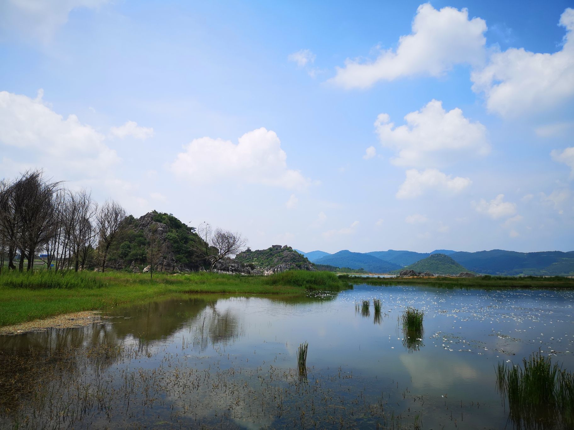 曲靖海峰湿地攻略,曲靖海峰湿地门票/游玩攻略/地址/图片/门票价格