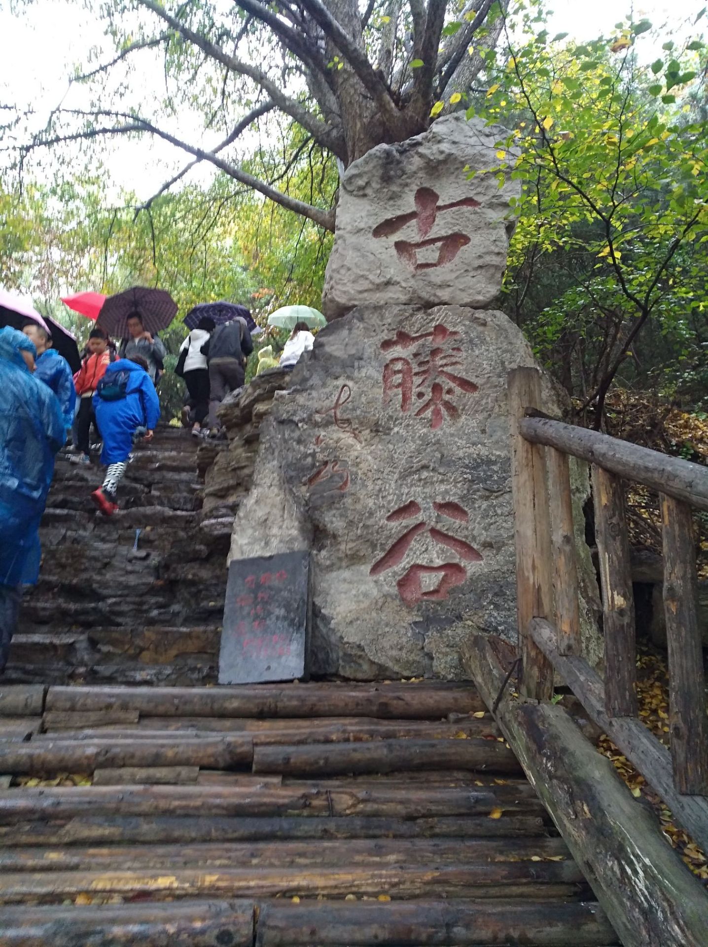 绵山行之～古藤谷.