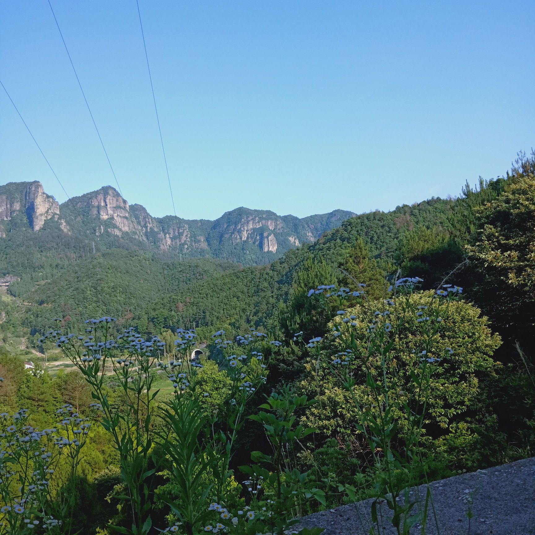 仙居姚岸图片