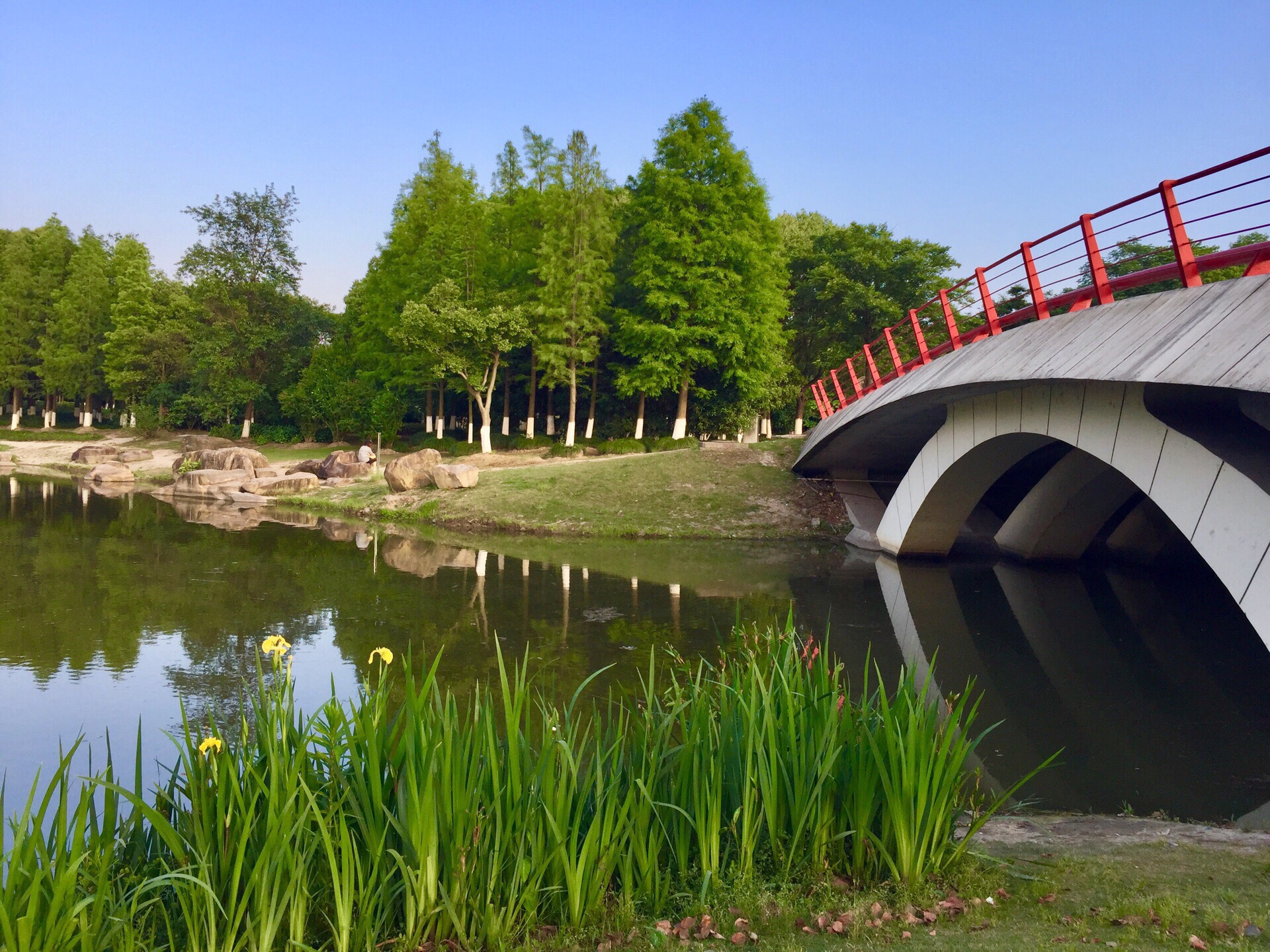 閔行濱江溼地公園