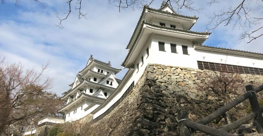 八幡山城   点评 直线距离2.3km