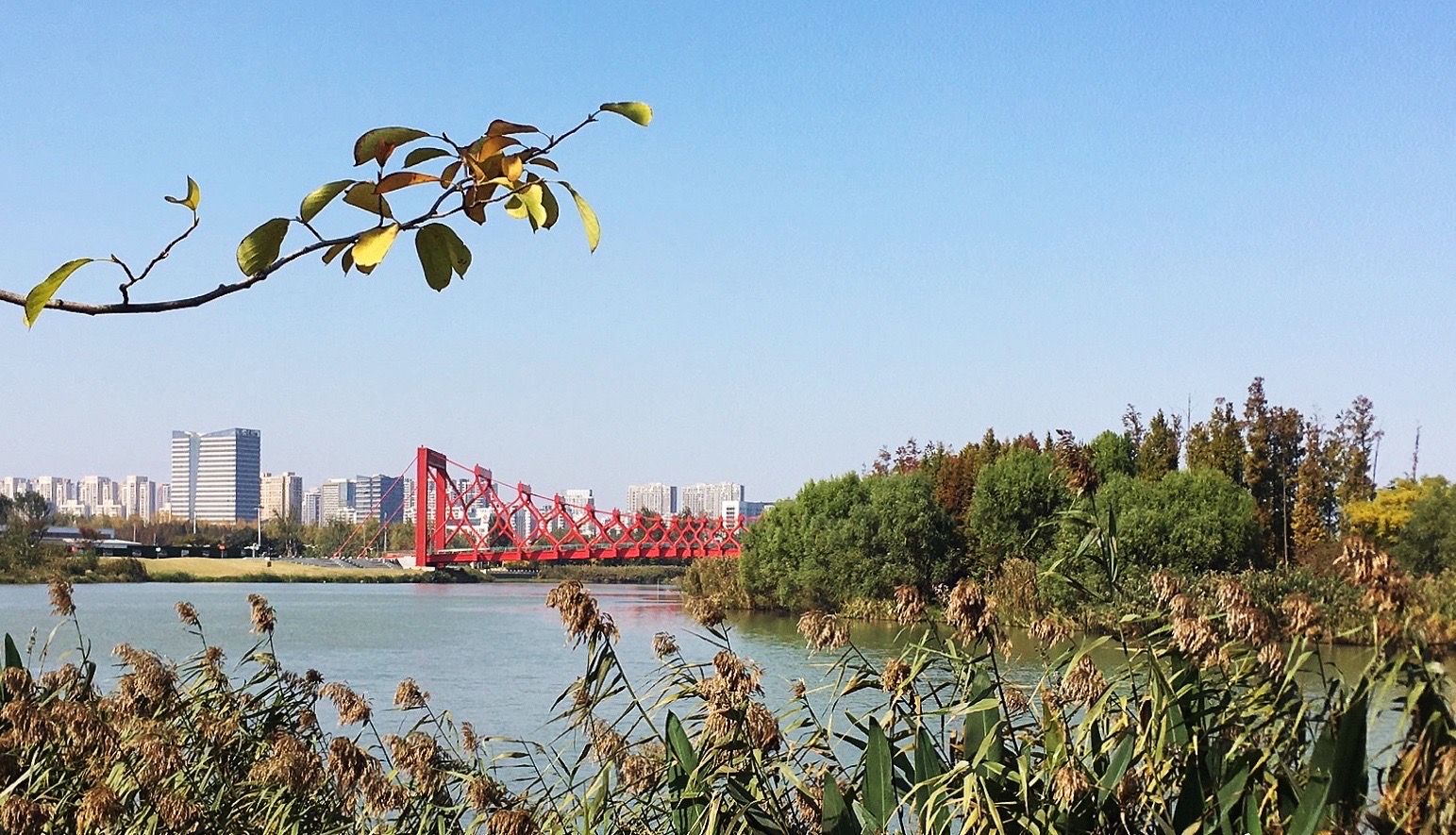 剪影橋位於揚州京杭大運河三灣溼地公園,運河在這裡拐了一個形似