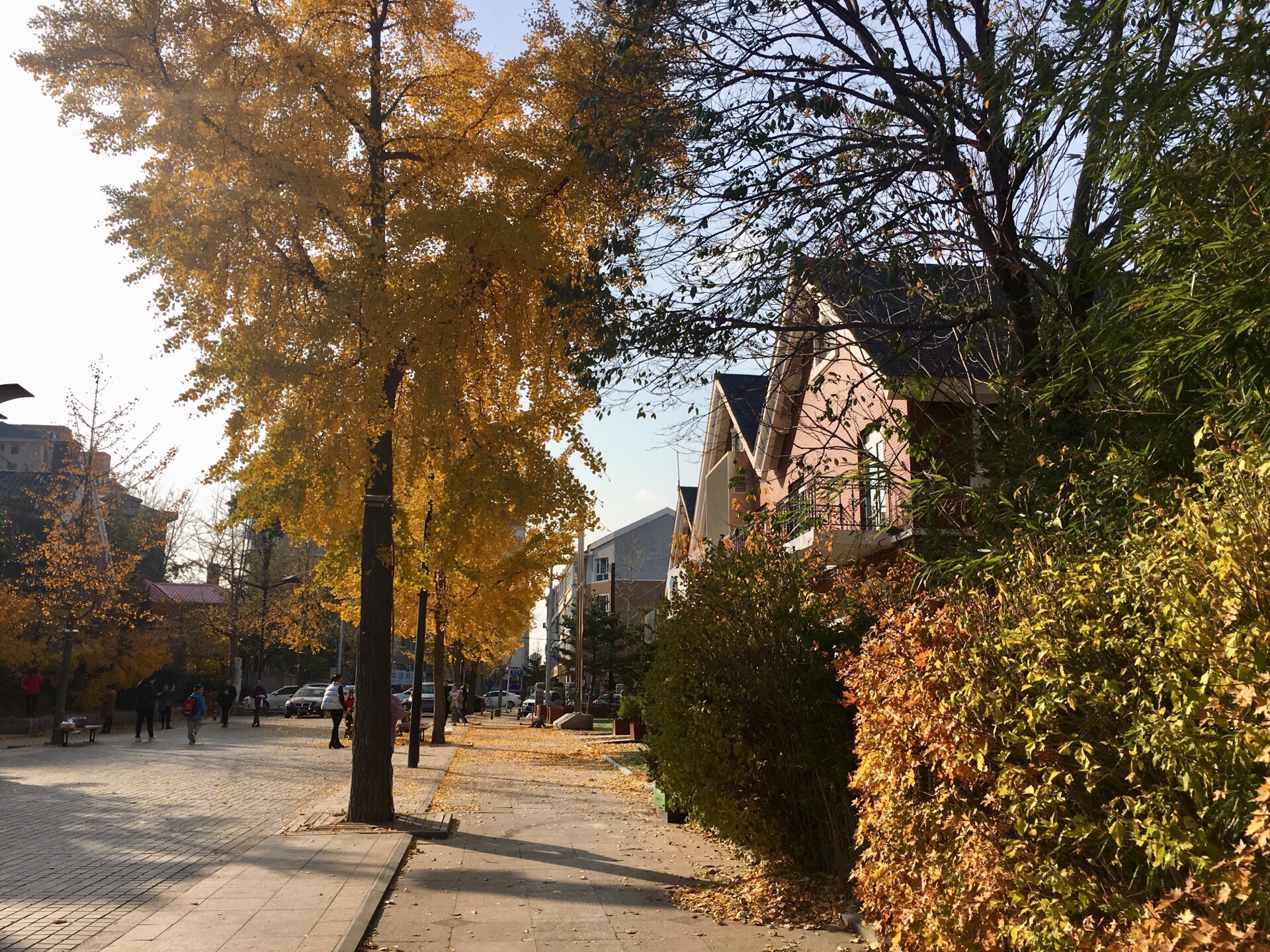 大连南山旅游风情街攻略,大连南山旅游风情街门票/游玩攻略/地址/图片
