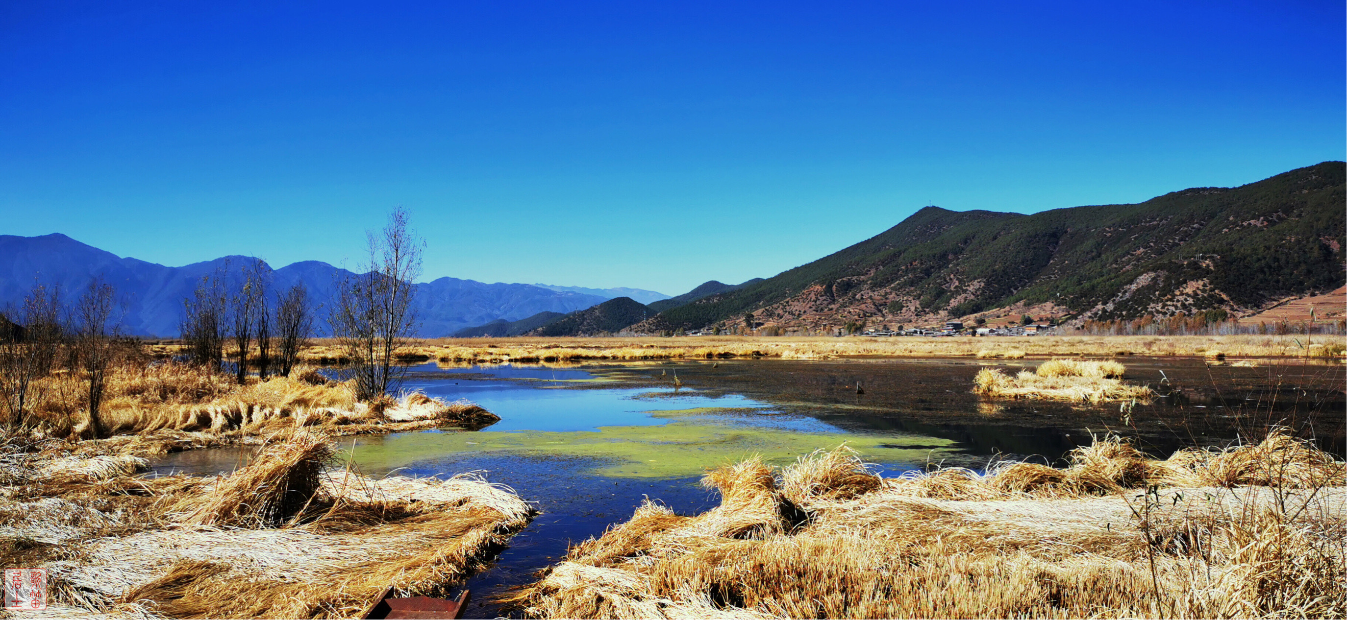 【携程攻略】泸沽湖草海景点,印象泸沽湖