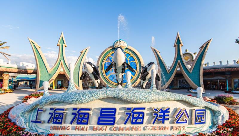 袔乐上海海昌海洋公园围绕海洋文化特-上海海昌海洋公园自由行旅拍