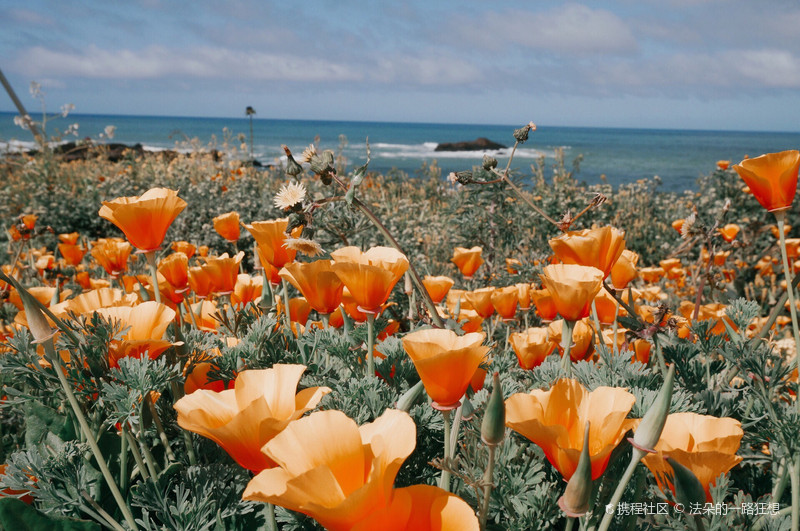 在美国西海岸的一号公路之上 有一个必经之地 那就是鸽子角灯塔 看
