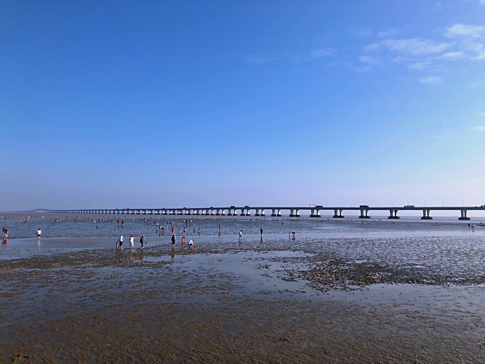 【携程攻略】上海南汇嘴观海公园好玩吗,上海南汇嘴观海公园景点怎么