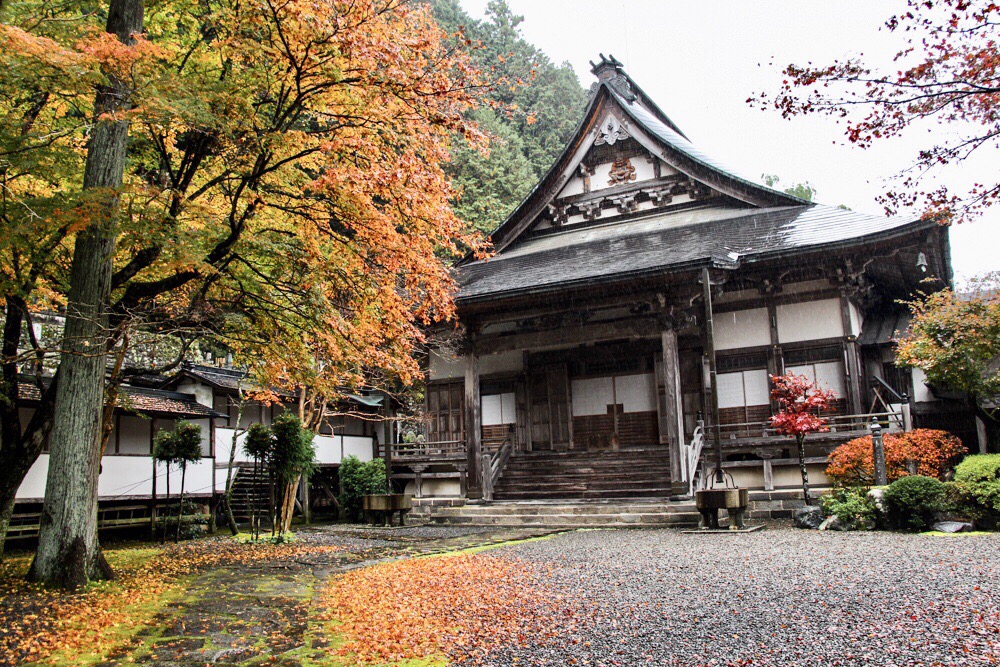 岐阜市郡上八幡攻略,岐阜市郡上八幡门票/游玩攻略/地址/图片/门票