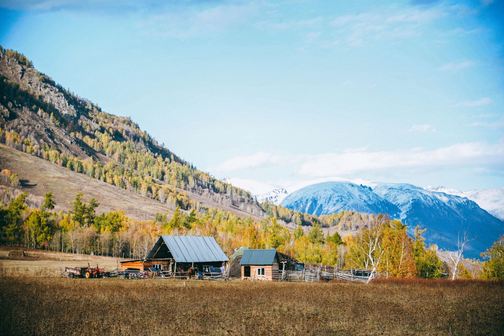 喀纳斯禾木草原好玩吗,喀纳斯禾木草原景点怎么样_点评_评价【携程