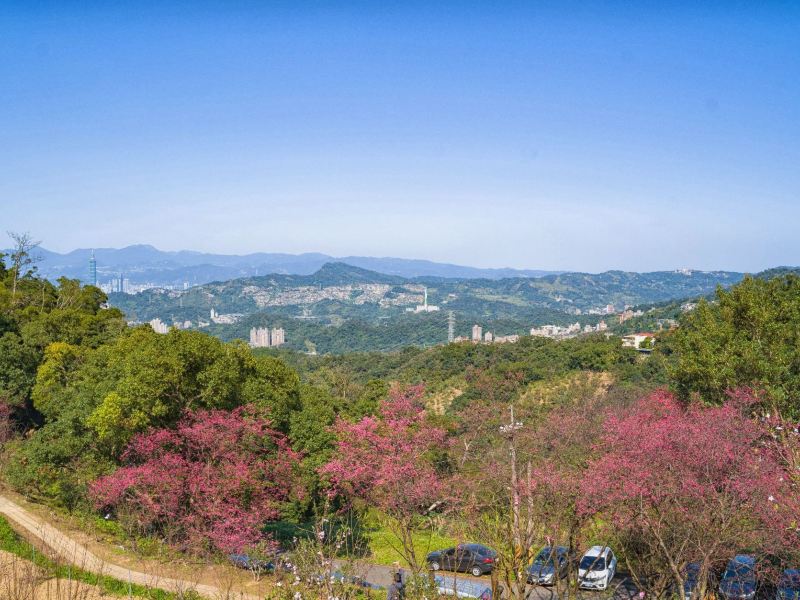 台北猫空杏花林攻略-猫空杏花林门票价格多少钱-团购票价预定优惠