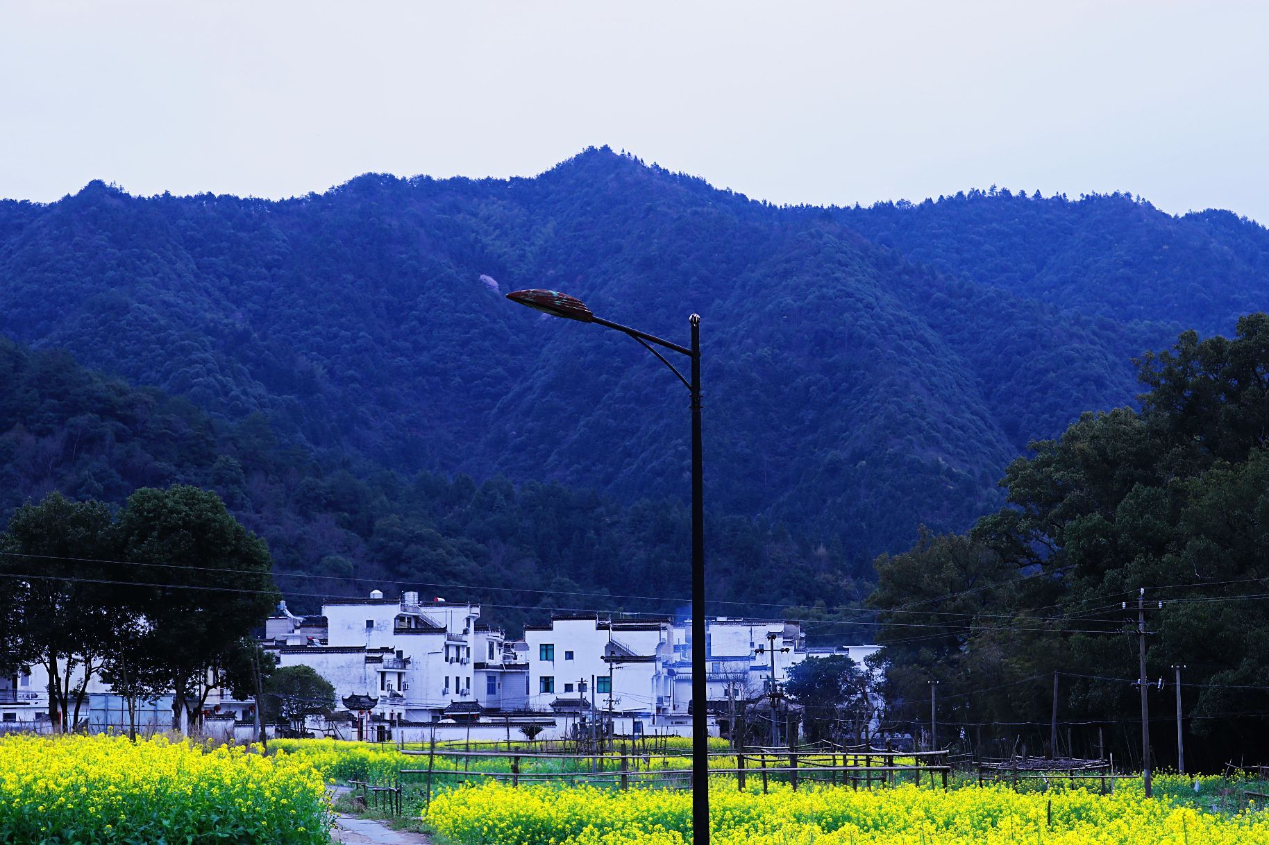 景点,【一分钟秒懂"晓起"】晓起分为上下晓起,上晓起给我印象不太