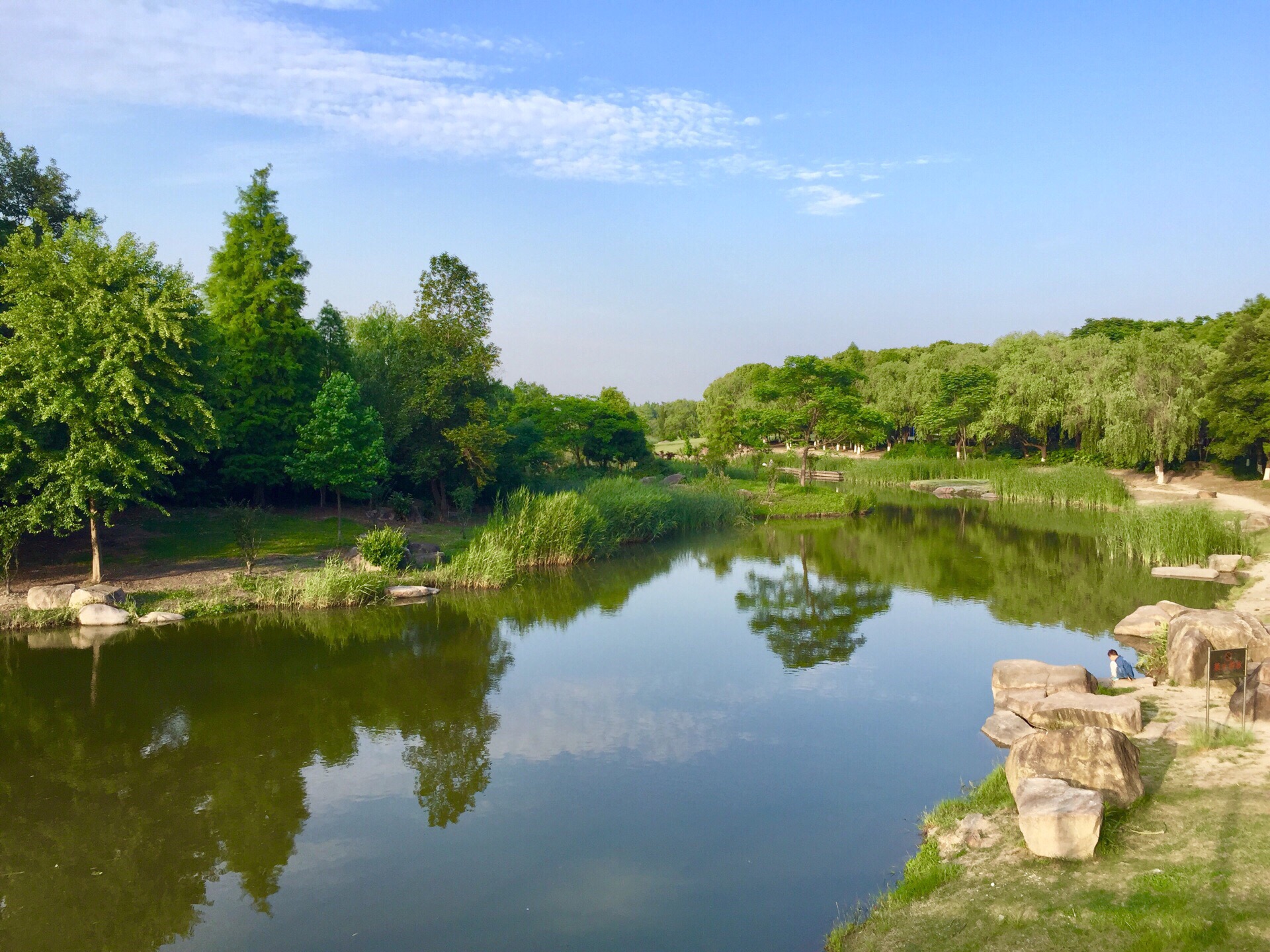 闵行滨江湿地公园简介图片
