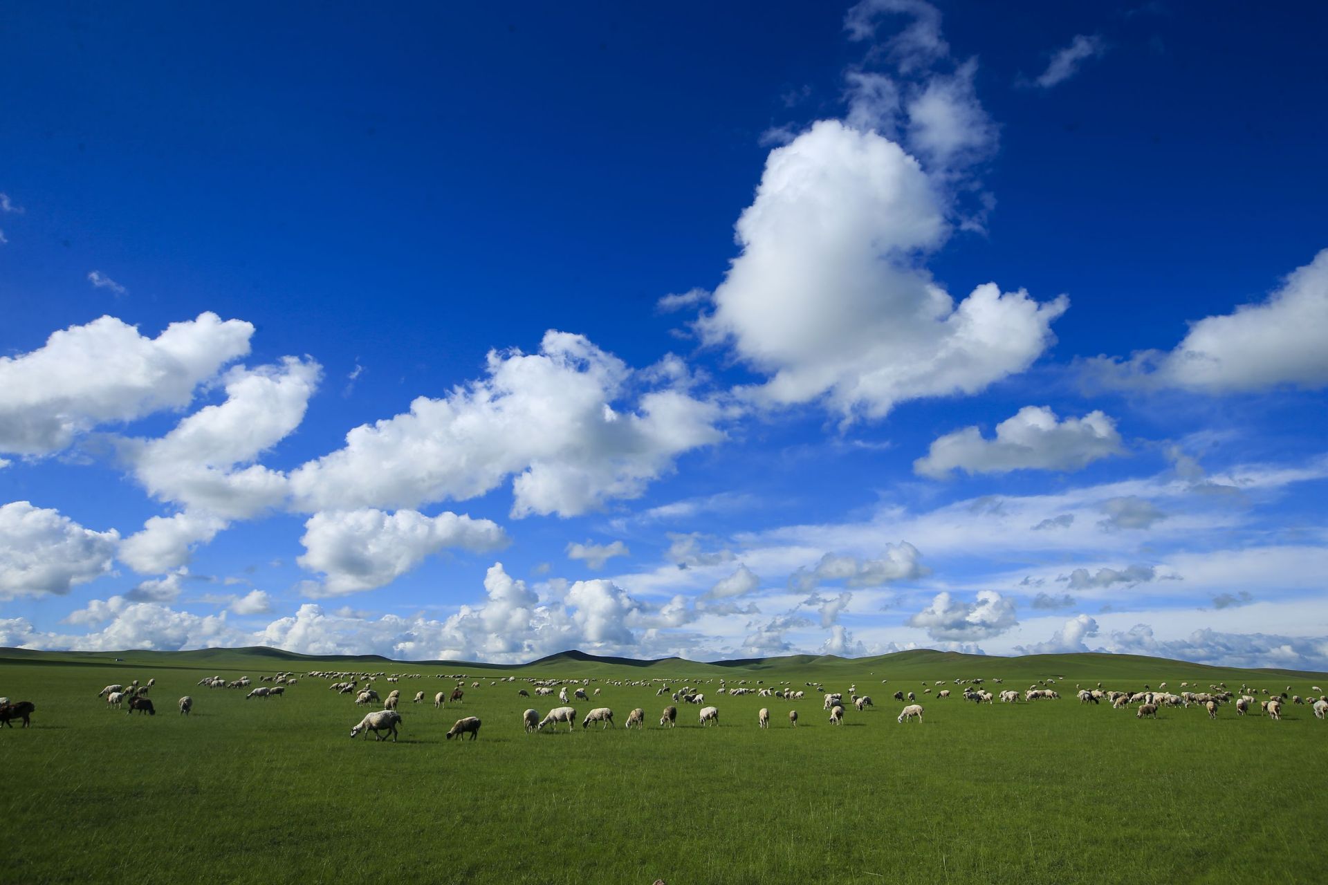 呼和诺尔草原旅游区