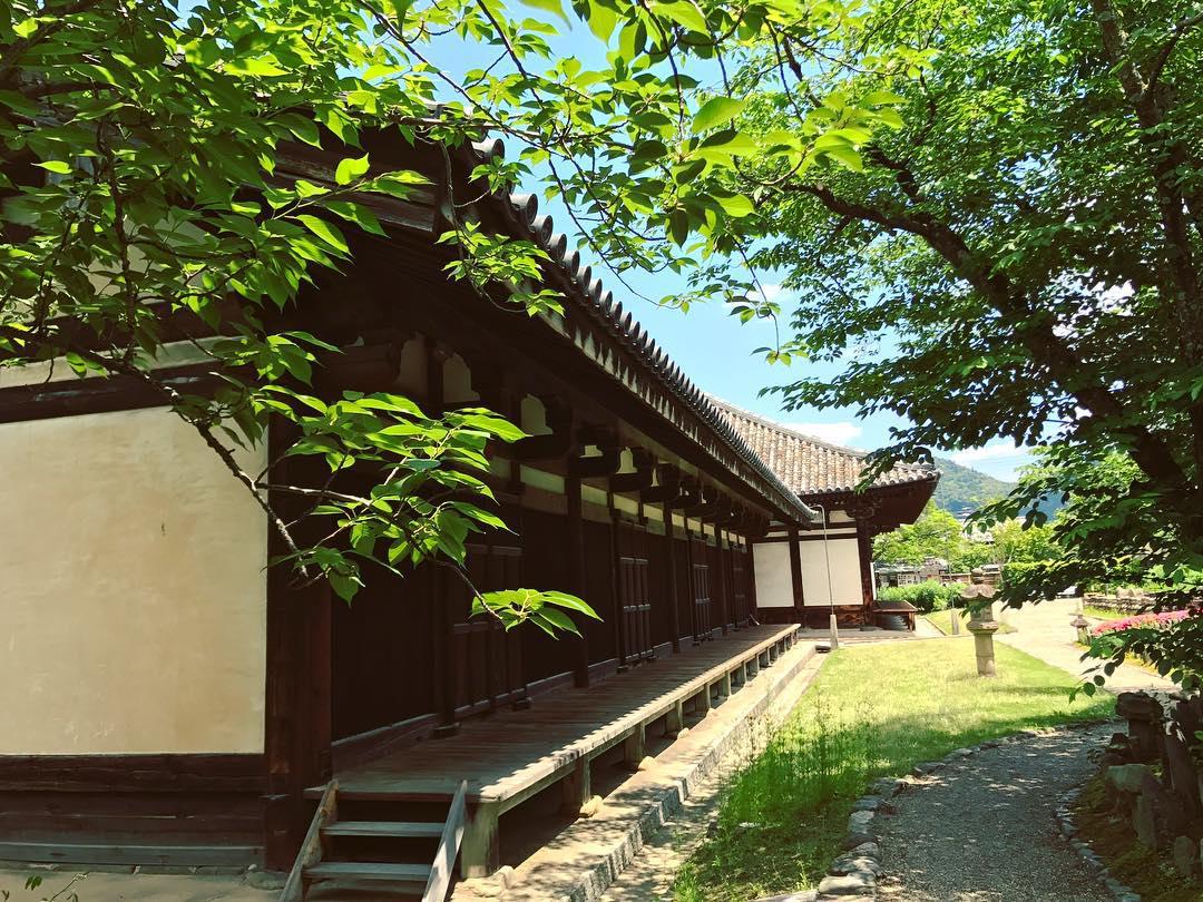 新药师寺